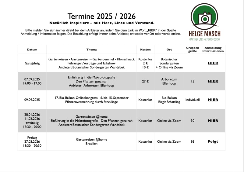 Angebote 2025