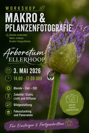 Makro und Pflanzenfotograffie