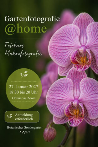 Gartenfotografie @home
