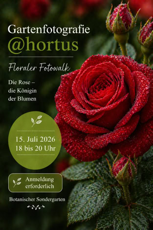 Gartenfotografie @hortus