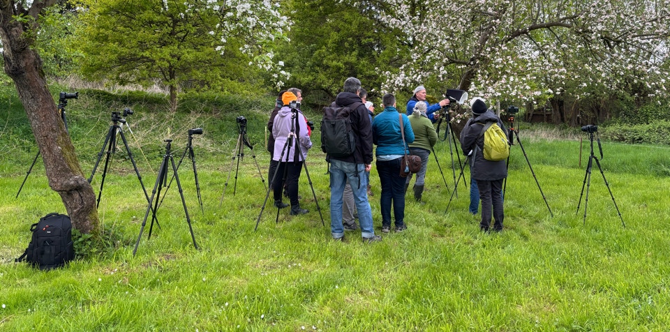 Stative und Fotogruppe auf der Streuobstwiese im Landhaus Elbeflair