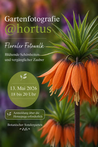 Gartenfotografie @hortus