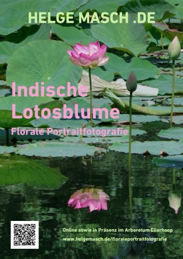 Grüne Blätter Einer Pflanze