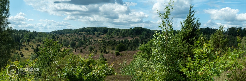 Totengrund - Lüneburger Heide