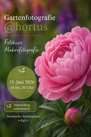 Gartenfotografie @hortus