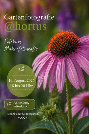 Gartenfotografie @hortus